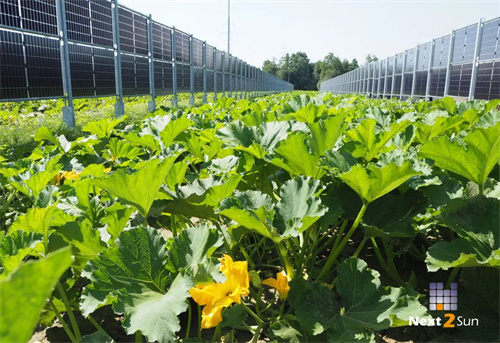 新能源每度电成本揭秘